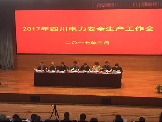 公司总经理陈云荣获2016年度四川电力安全生产先进个人