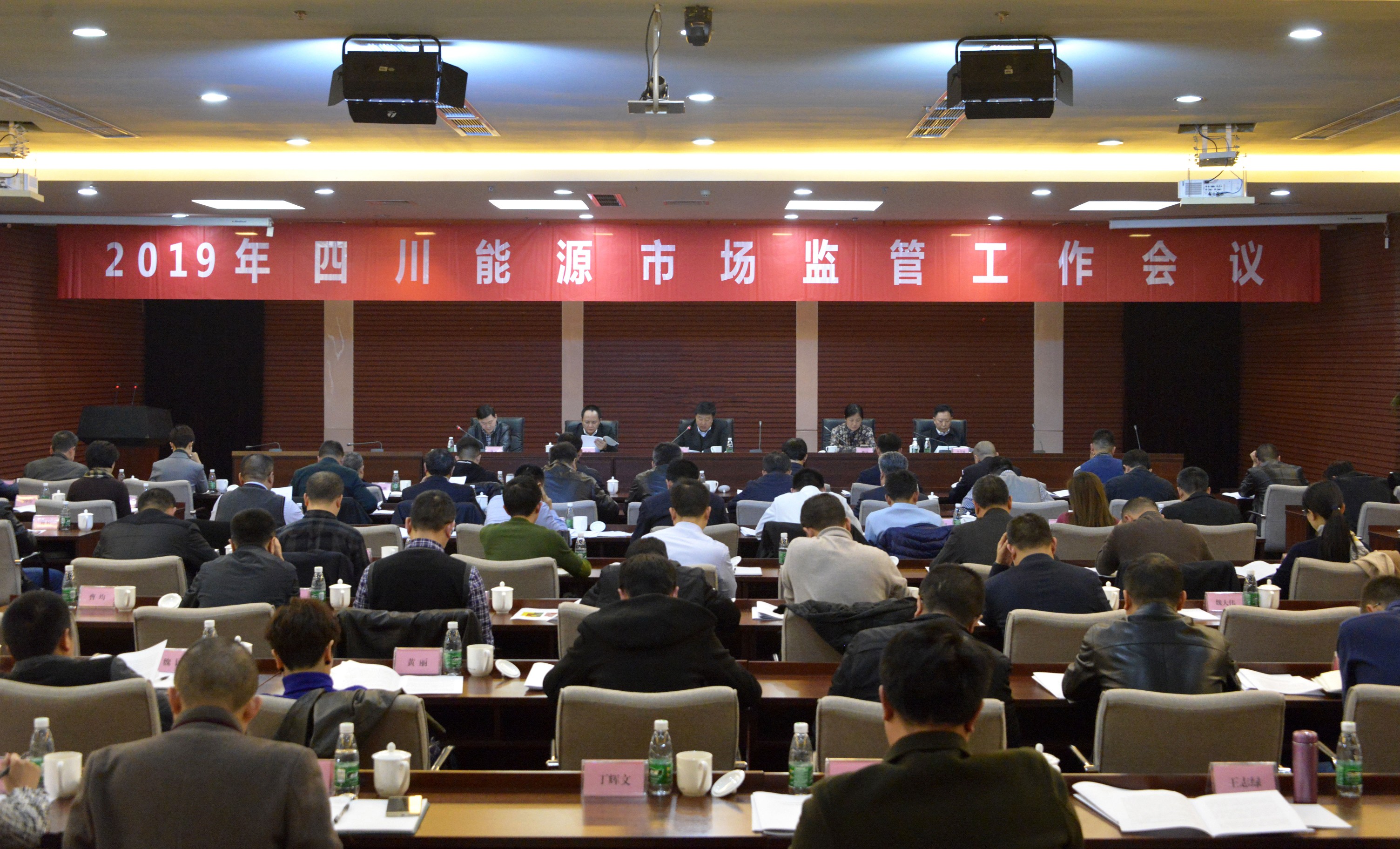 副总经理陈金华出席2019年四川能源市场监管工作会议
